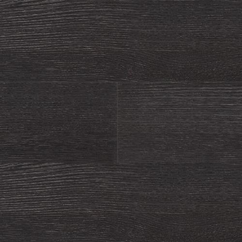 Midnight Oak