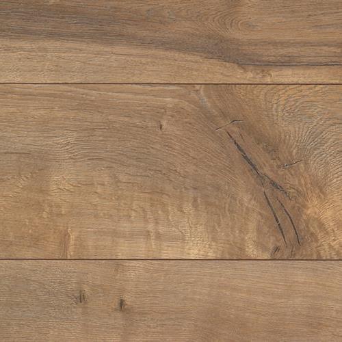 Century Oak