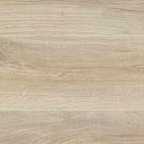 Clamshell Oak