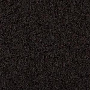Carpet Access AX24X24 Procure