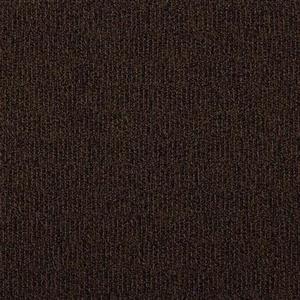 Carpet Access AX24X24 ComeIn
