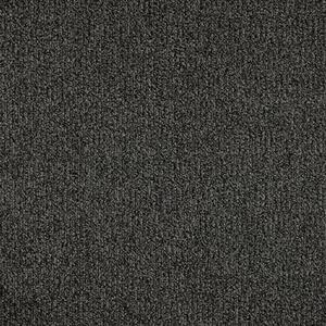 Carpet Access AX24X24 Ingress