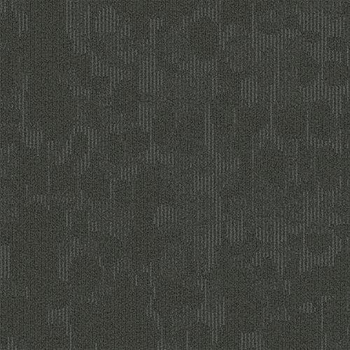 Motion On The Go MTN46