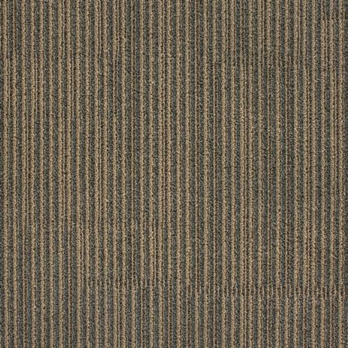 Shaw Carpet Color Chart Review Home Co