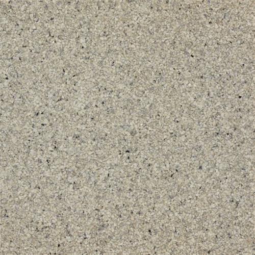 Otter Gray