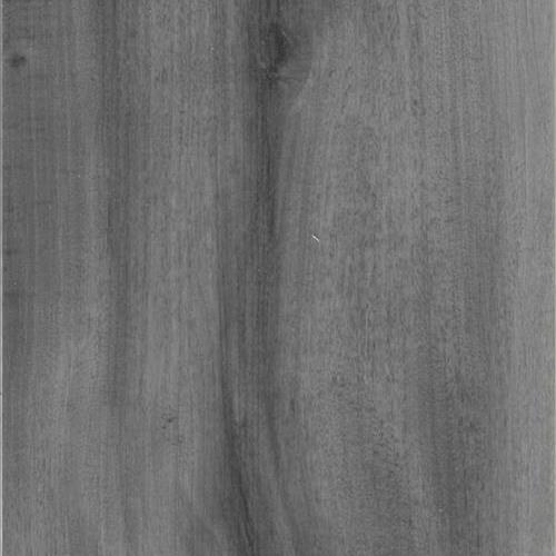 ProSeries Flooring Surfaces SPC Rigid Core Reclaimed Timber Luxury