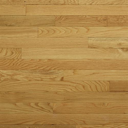 Piedmont by Impressions Flooring - Honey - 2.25