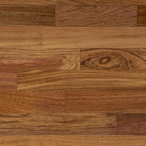 Newport by Impressions Flooring - Brazilian Cherry - 3.25