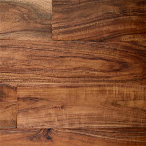 Natural Acacia