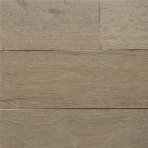English Forest Collection European Oak Frost