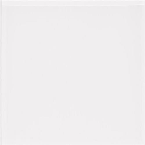 Color Palette - Matte Mirage White Matte 3X6