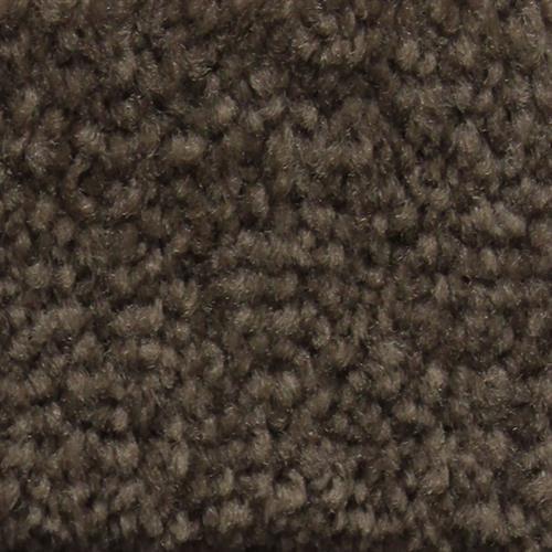 Acquire by Artistry Carpet - Coco Mocha