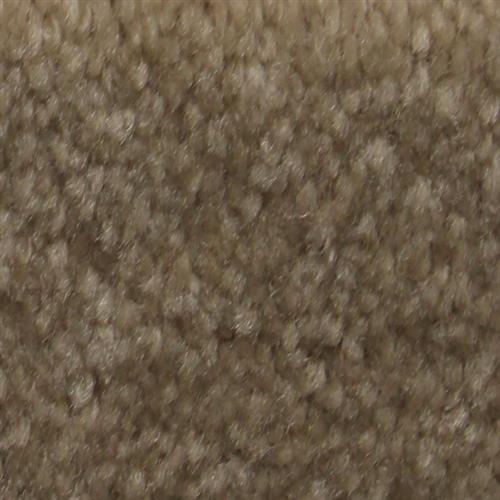 Acquire by Artistry Carpet - Honeywood