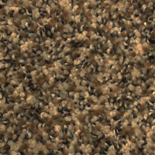 Sand Swept