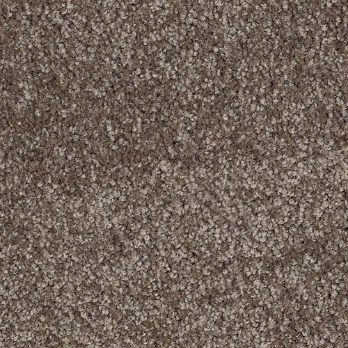 Rustic Taupe