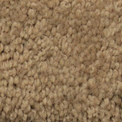 Satiny by Artistry Carpet - Coca Sand