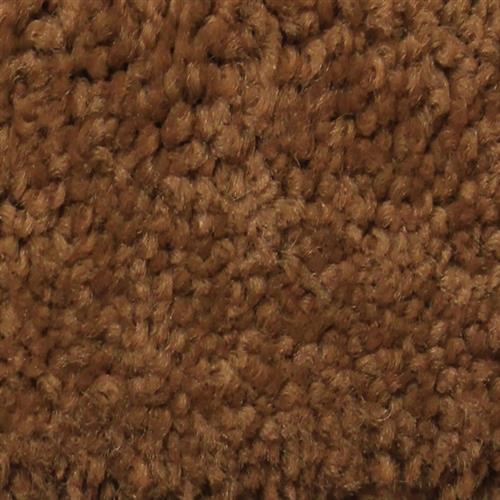 Satiny by Artistry Carpet - Pumpkin Spice