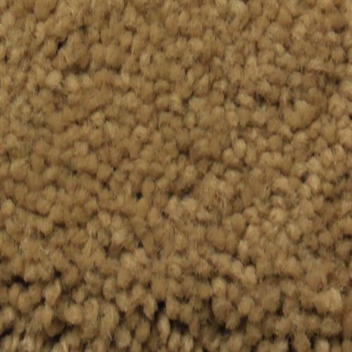 Satiny by Artistry Carpet - Tawny Bisque