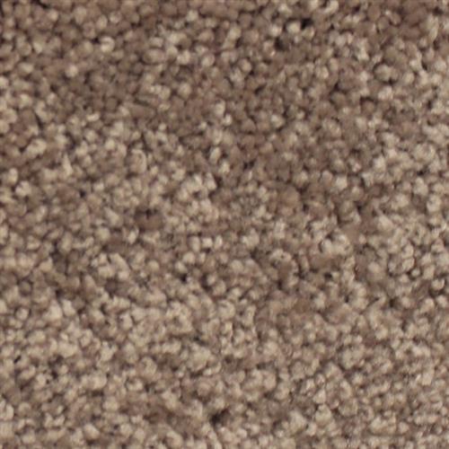 Mocha Frost
