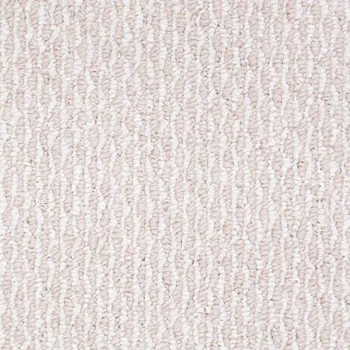 Cotton Canvas
