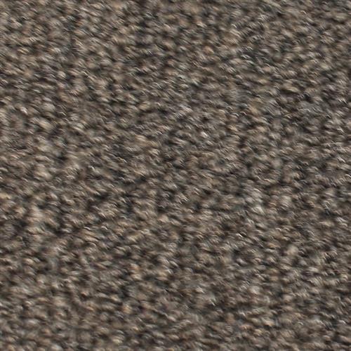 Sugared Bronze