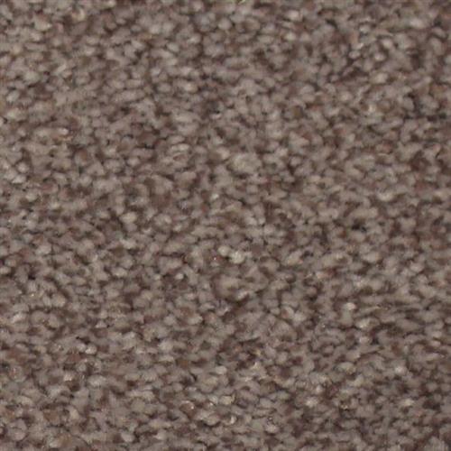 Midtown Brown