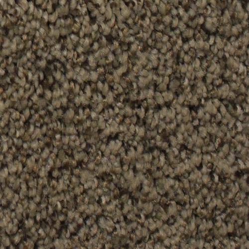 Tranquil by Artistry Carpet - Hiking Trail
