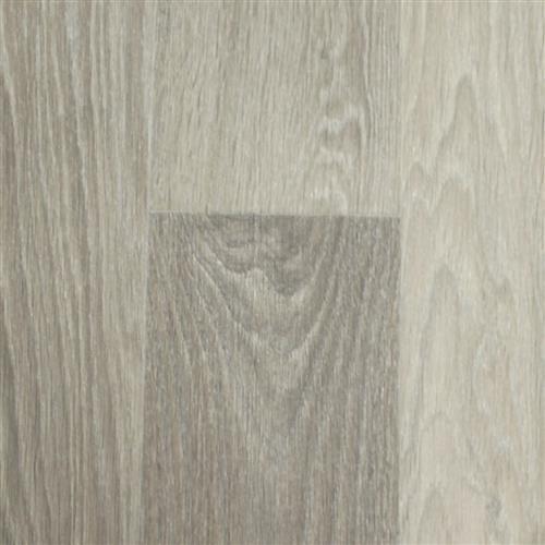 Odyssey Oak Oat