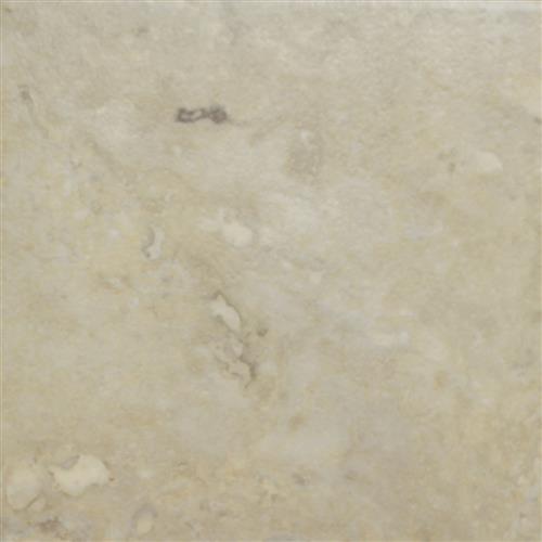 Sunlit Sand