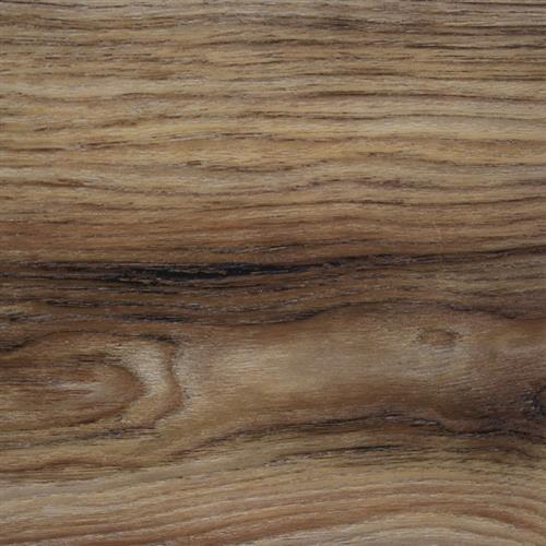 Ontario Walnut