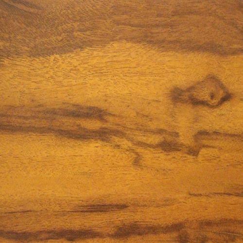 Australian Acacia