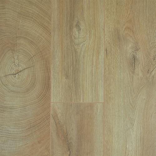 Impressions Plus by Richmond Laminate - Oak Fresco Lodge