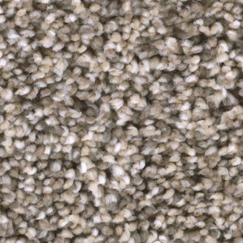 /TAS Flooring Badlands Creekside Carpet Norcross, GA Flooring