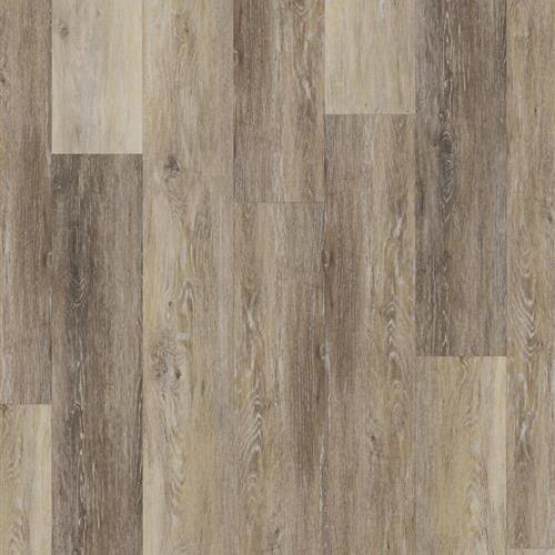 Banded Olive - Driftwood