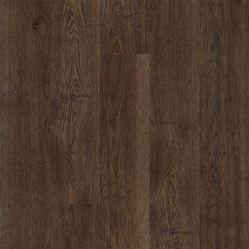 Nouveau 6 Collection Baywood