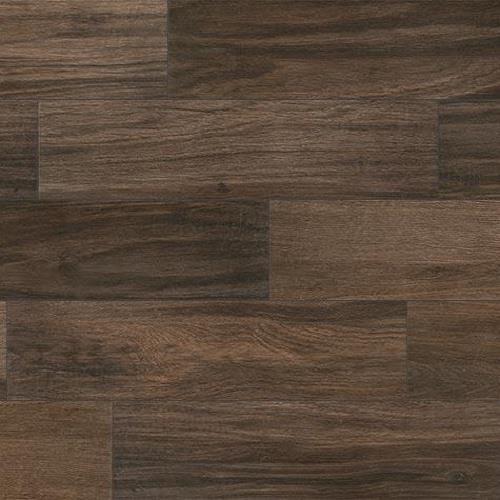 Cinnamon - 6x36