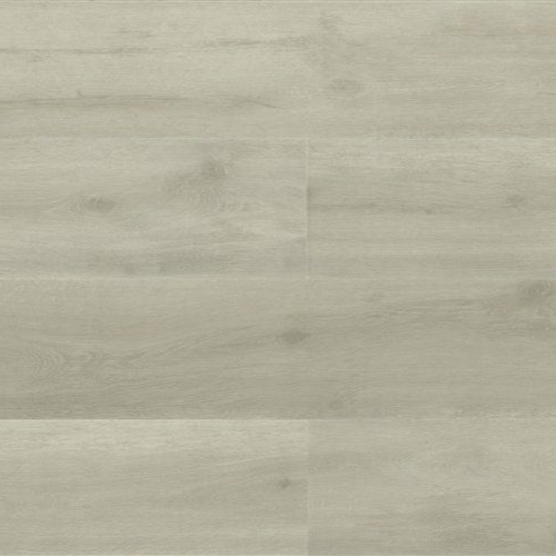 White Series Sanddollar