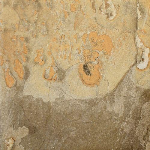 Multicolor - 12 X 12