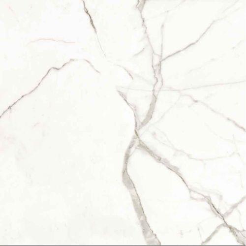 Glamour by Ceratec Surfaces - Calacatta Polished - 12 X 24